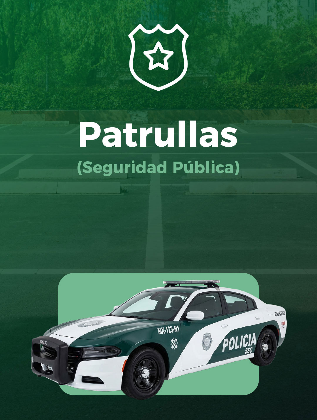 Proyecto